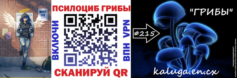 Галлюциногенные грибы Psilocybe  Макаров 
